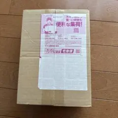 本日限定出品ポケモンカードホワイトフレア拡張パックデラックス1BOX 新品未開封