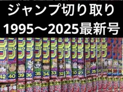 週刊少年ジャンプ1995年〜2025年 切り取り ナルト 銀魂 ブリーチ