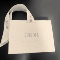 Dior 袋