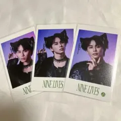 Item thumbnail for item 4391dccd-c402-4448-bab9-fa8254513a7f