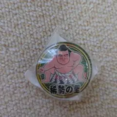 Item thumbnail for item 0c6dcad8-858d-42d0-972d-730da4eb3261