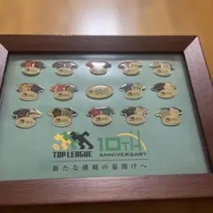 阪神タイガース 2026プレミアムプラス ファンクラブ ピンバッジ
