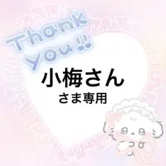 小梅さんさま専用です