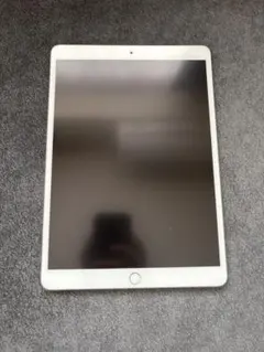 iPad pro 10.5インチ256GB apple pencil(第1世代)