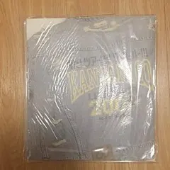 関ジャニ∞ 夏だ！ツアーだ！ワッハッハー！ パンフレット