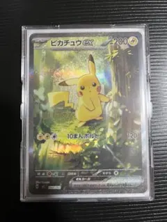 ピカチュウex SAR仕様 MC 764/742 スタートデッキ100