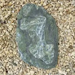 三波石 3.7kg 群馬県三波川産 日本銘石 水石 鑑賞石 天然石 自然石