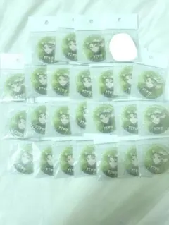 カラフルピーチ からぴち シヴァ シヴァさん 5周年 展示会 缶バッジ 24個