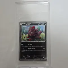 美品⭐️新品 未開封 1パック/1ED ダークラッシュ BW4 未サーチ品① 2026年最新】ダークラッシュ 未開封 ポケモンカードゲームbw 拡張