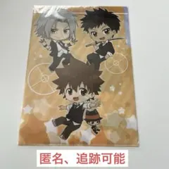 家庭教師ヒットマン REBORN！3ポケットクリアファイル1点