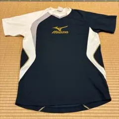 Item thumbnail for item 3caf9350-d29e-41a0-aeb3-0993b666bf6c