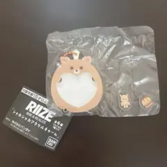 riize ソンチャン　ウラッパム　シャカシャカアクリルチャーム