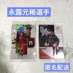 永露元稀選手/バレーボール男子日本代表/ウエハース/カード 2枚セット