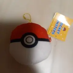 ポケモン 小物入れ モンスターボールとピカチュウ