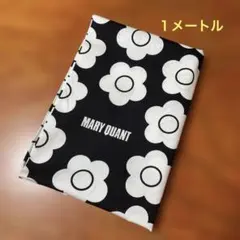 Item thumbnail for item 1611d914-dec0-4519-a0a9-c3ff8787fe53