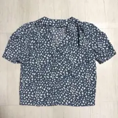 Item thumbnail for item 736f566a-1def-4ece-9cec-9d34cc9dd9ef