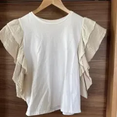 Item thumbnail for item 87b34b22-5c5d-454d-b59c-9db15f94839c