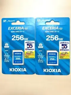ひょに様 リクエスト商品 EXCERIA G2 256GB SDXC 2枚セット
