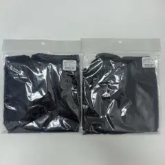 Item thumbnail for item 74334616-7e3c-4587-803b-148419fc391e