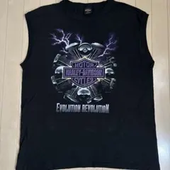 90's ハーレー　サンダーEVOLUTION REVOLUTION USA