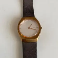 【期間限定大幅値下げ！】SKAGEN スカーゲン　腕時計 レディースのサムネイル