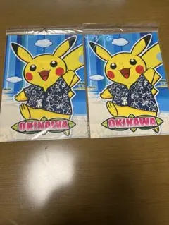 未開封！沖縄限定！ピカチュウ ポケモン ポケットモンスター クリアファイル