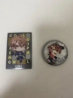 ぱらぴち缶40個　まとめ売り カラフルピーチ もふ 缶バッジ40個 からぴちパラダイス2025 パラ