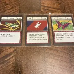 HUNTER×HUNTER 指定ポケットカード 3枚セット