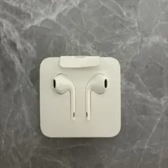 【純正品/即日発送】iPhone イヤホン Lightning Apple