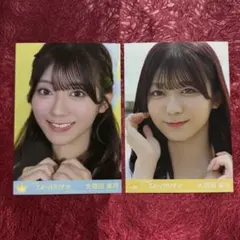 Item thumbnail for item 706be2aa-b6d5-4310-a30f-f5ee019a3e33