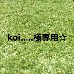koi…..様専用☆
