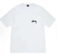 Stussy チェリーグラフィック Tシャツ