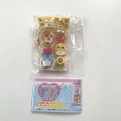 パッケージ入り！あの頃の消しゴムマスコット ちみっこフレンズ