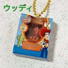 トイ・ストーリー★ミニチュアパッケージコレクション2 ウッディ★箱 ディズニー