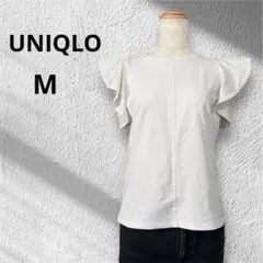 Item thumbnail for item 80a5bad9-b1df-4ddd-abbc-e5248a109cc7