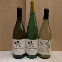 2026年最新】ダミーボトルの人気アイテム - メルカリ