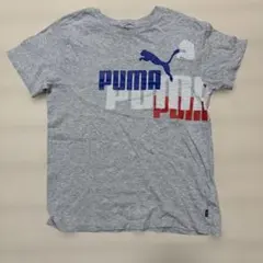PUMA グレー Tシャツ 160サイズ