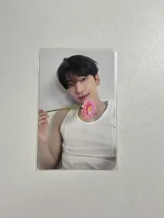 ウォヌ　トレカ　セブチ　17 is right here CARAT 封入