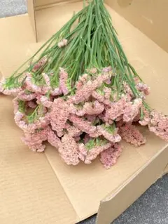 2026年最新】スターチスの人気アイテム - メルカリ