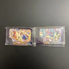 ザマゼンタ　ザシアン　ポケモンフレンダ