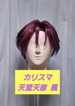 2026年最新】天堂天彦 ウィッグの人気アイテム - メルカリ