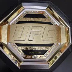 2026年最新】レプリカチャンピオンベルトの人気アイテム - メルカリ