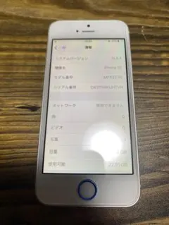 美品 バッテリー100%Apple iPhone SE 第1世代 本体 シルバー