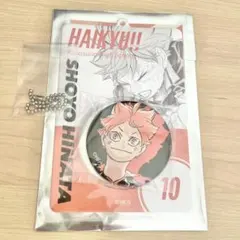 ハイキュー 日向翔陽 缶バッジ＆特製ホルダーコレクション
