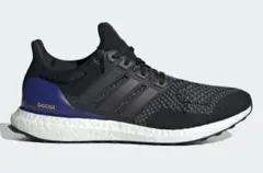adidas Ultra Boost ogカラー　30cm