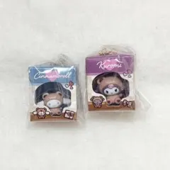 サンリオキャラクターズ ミニチュアパッケージコレクション　2個セット