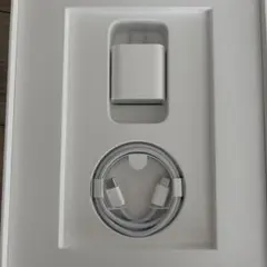 Apple 純正充電器セット 電源アダプター 充電ケーブル iPad付属品