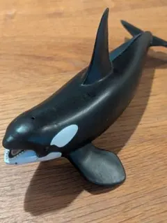 原色海生哺乳類図鑑 フィギュア セット セイウチ シャチ イッカク ザトウクジラ 原色海生哺乳類図鑑 フィギュア セット セイウチ シャチ イッカク