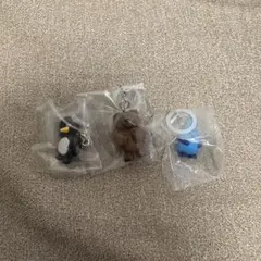 Daisuke Kondo めじるしアクセサリー ガチャガチャ　①