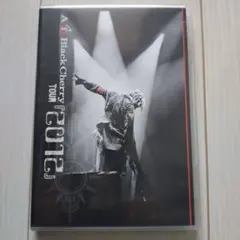KIRITO（キリト）THE CORRECTED TIMELINE (DVD) - メルカリ